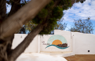 Detalle exterior - La Palma Mágica