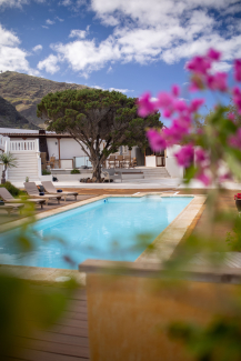 Piscina y buganvilla