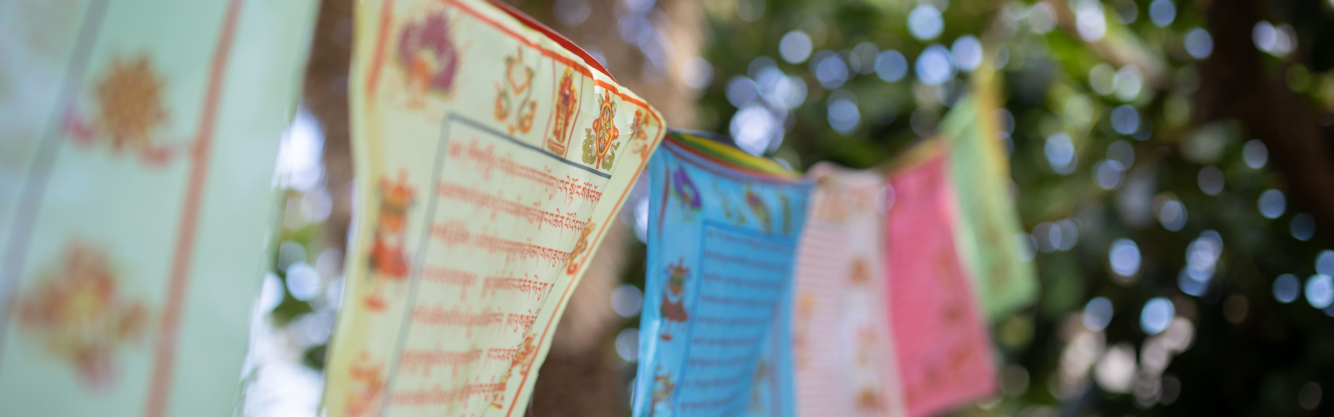 Detalle banderas yoga